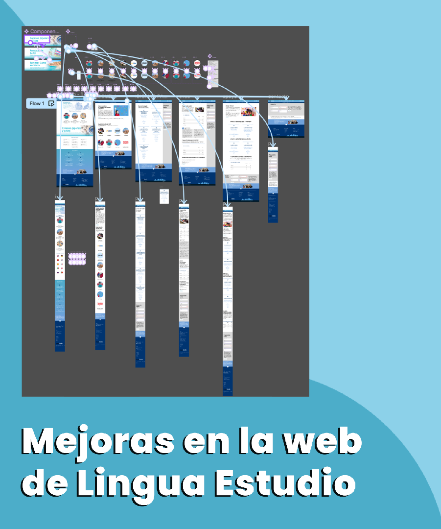 Mejoras-en-la-web-lingua-estudio