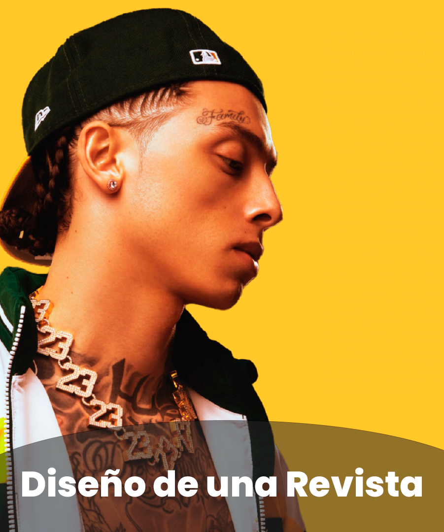 diseño-de-uan-revista